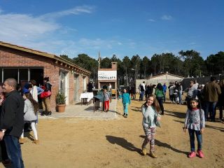 inauguración covilapa